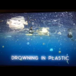 Drowning in Plastic