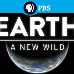 Earth: A New Wild