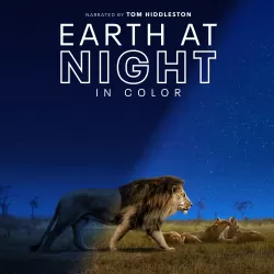 Earth at Night in Color