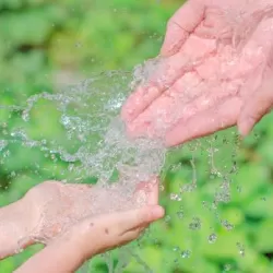 Eine Hand wäscht die andere