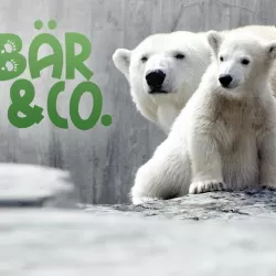 Eisbär, Affe & Co.