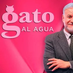 El gato al agua