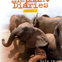 Elephant Diaries