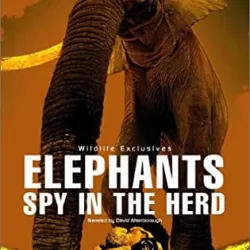 Elephants: Spy in the Herd