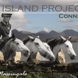 Emma Massingale: Island Project