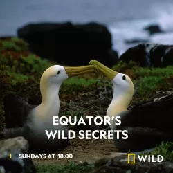Equator's Wild Secrets