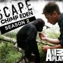 Escape to Chimp Eden