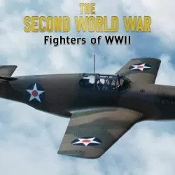 Fighters of WWII