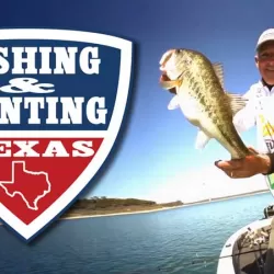 Fishing and Hunting Texas