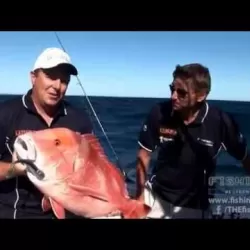 Fishing Australia