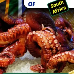 Flavours Of South Africa