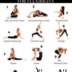 Flexibility Yoga for Beginners