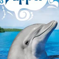 Flipper