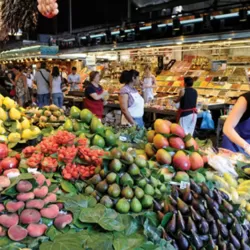 Food Markets: In the Belly of the City