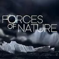 Force of Nature