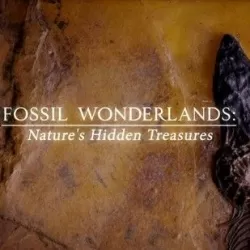 Fossil Wonderlands: Natures Hidden Treasures