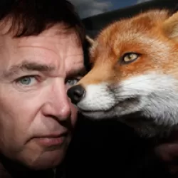 Foxes Live: Wild in the City