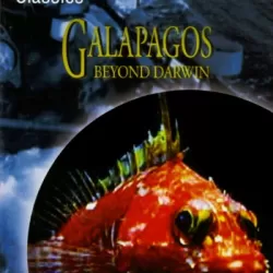 Galapagos: Beyond Darwin