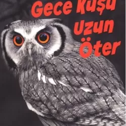 Gece Kuşu