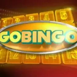 GoBingo