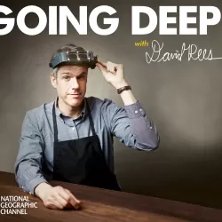 Going Deep with David Rees