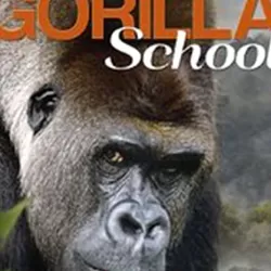 Gorilla School