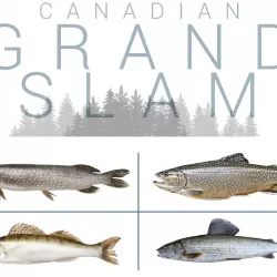 Grand Slam Fishing