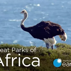 Great Parks of Africa