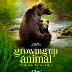 Growing Up Animal