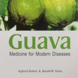 Guava Theory