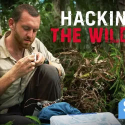 Hacking the Wild