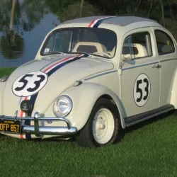 Herbie, the Love Bug