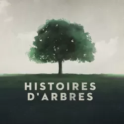 Histoires d'arbres