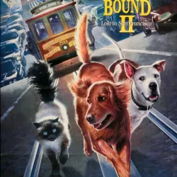 Homeward Bound II: Lost in San Francisco