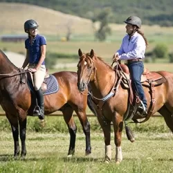 Horse Master With Julie Goodnight