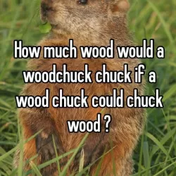 How Much Wood Would a Woodchuck Chuck