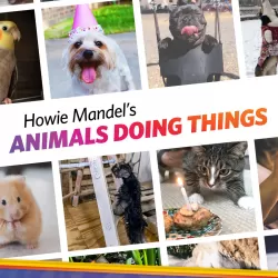 Howie Mandel's Animals Doing Things