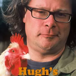 Hugh's Chicken Run