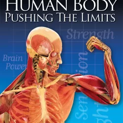 Human Body Pushing the Limits