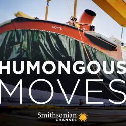 Humongous Moves