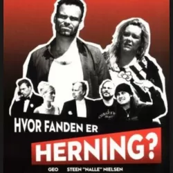 Hvor fanden er Herning?