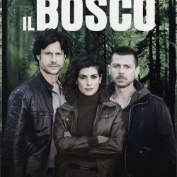 Il bosco