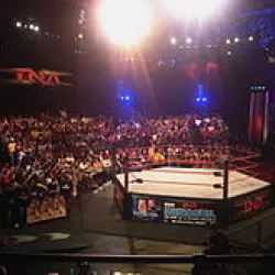 Impact TV