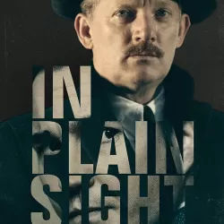 In Plain Sight (2016)