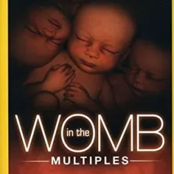 In the Womb: Multiples