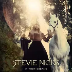 In Your Dreams: Stevie Nicks