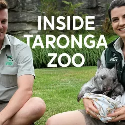 Inside Taronga Zoo