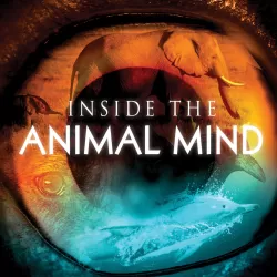 Inside The Animal Mind