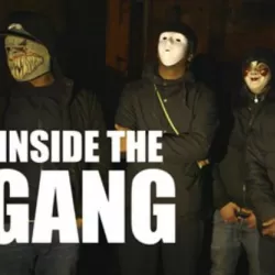 Inside The Gang