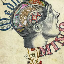 Inside the Medieval Mind